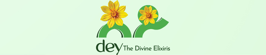 Adey Beauty & Spa Manufacturing logo